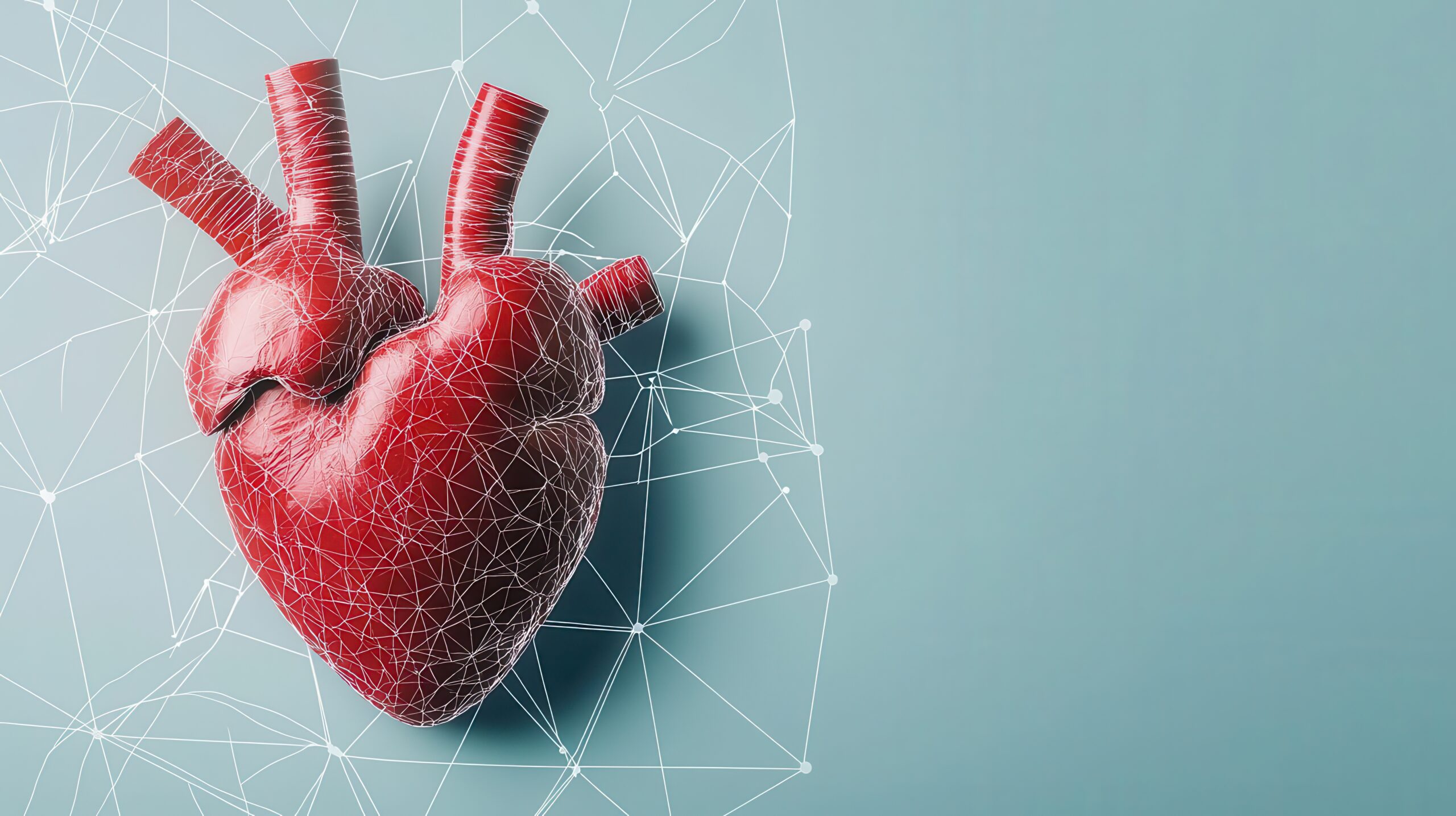 Accolade Pacemaker lawsuit